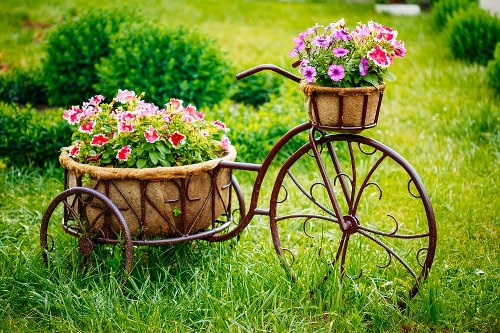 Beautiful bouquet of assorted flowers