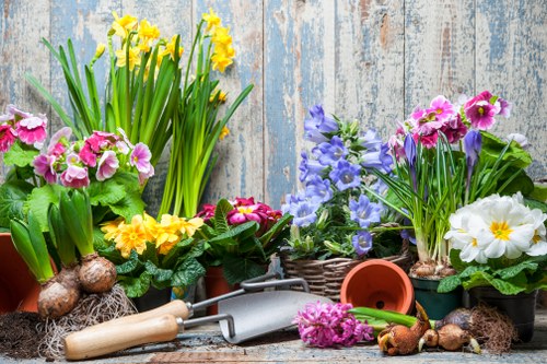 Seasonal flowers in a vibrant arrangement