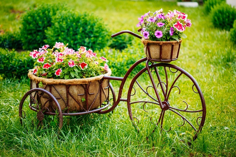 Learn the Fascinating Meaning Behind Your Birth Flower
