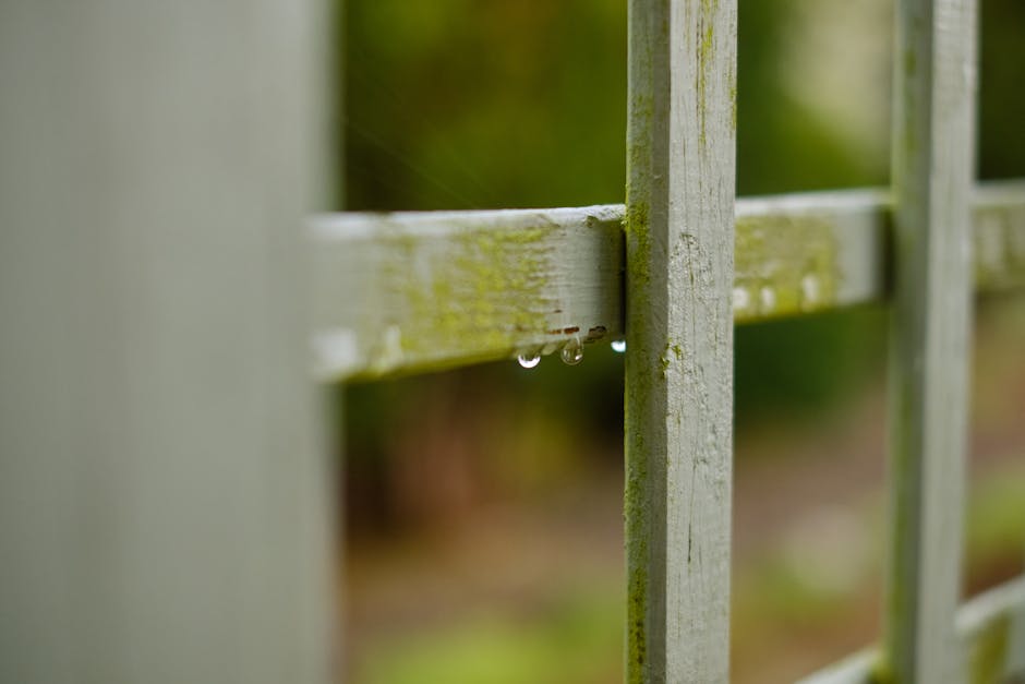 Close-up of a weathered white wooden fence with greenish moss and grime, featuring a horizontal rail with small water droplets hanging from its underside. The background is blurred with hints of green